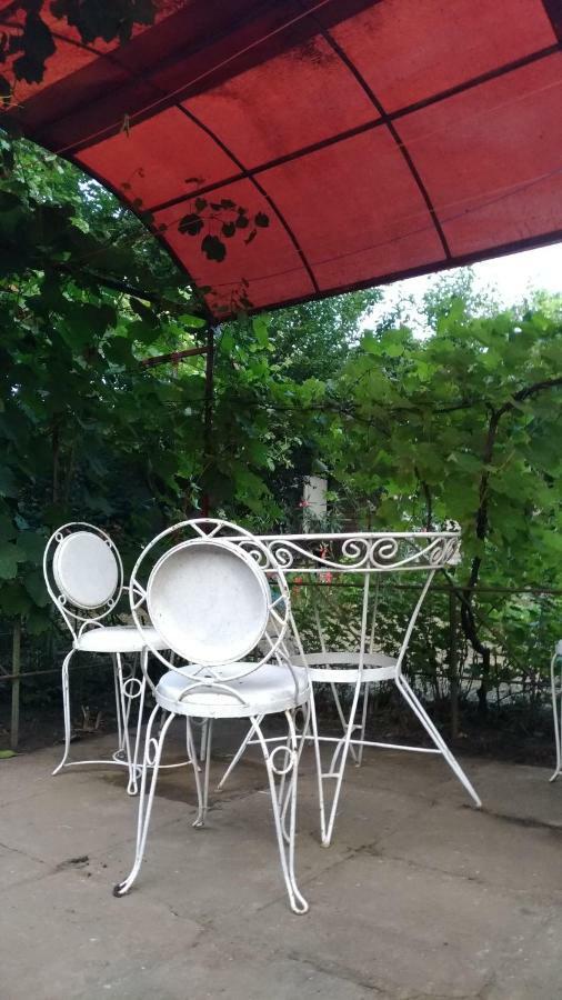 Casa Din Gradina Βίλα Eforie Sud  Εξωτερικό φωτογραφία